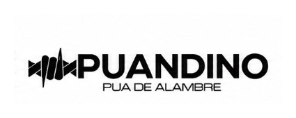 Logo de Puaandino